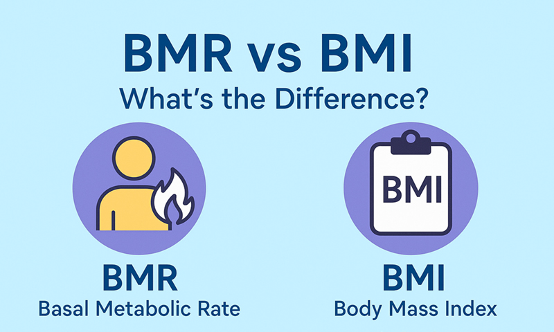 BMR vs BMI: What’s the Difference and Why It Matters